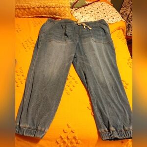 Lane Bryant Joggers Size 22